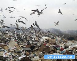 Во Владивостоке определён подрядчик по рекультивации полигона ТБО на Горностае