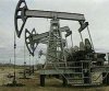 Первая сибирская нефть прибывает в спецморнефтепорт «Козьмино»