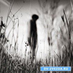 20 января 2010 года До конца года остается 345 дней.