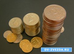 Работодатели Приморья уже не платят ЕСН