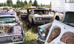 Как получить от государства 50 тысяч рублей на покупку нового авто