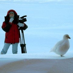 Климат последнего месяца зимы в Приморье будет достаточно умеренным