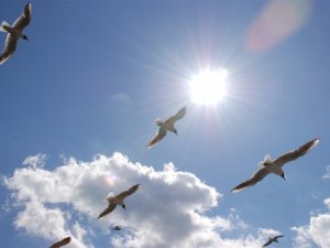 28 февраля. Что скрывает дата