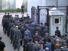 Из тюрем России выпустят 300 000 человек