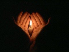 Тело девушки, погибшей в Тайланде, привезли во Владивосток