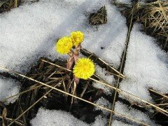 Выходные дни будут теплыми