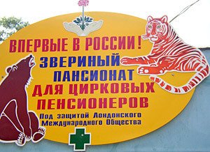 12 мая женщину в тяжелом состоянии госпитализировали