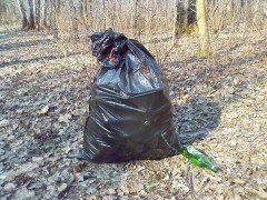 14 мая в рамках объявленного во Владивостоке санитарного двухмесячника и Дня Земли компания «Кока-Кола ЭйчБиСи Евразия»