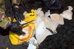 Во вступительном слове заместитель начальника Департамента