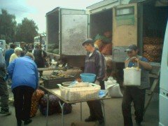 Также продолжают свою работу ярмарки в других районах города