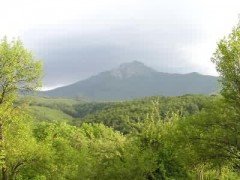 1 миллиард долларов - таких денег в экологию края еще не вкладывали