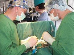 Дополнительные средства в размере 330 миллионов выделены из краевого бюджета на строительство федерального центра травматологии