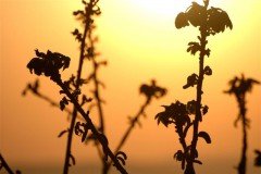 10 июня в галерее Portmay открывается персональная фотовыставка Вячеслава Глушко «Мгновения каждого дня»