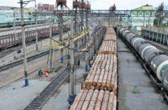 «Лесные бароны» спешат любыми незаконными способами наполнить свои карманы