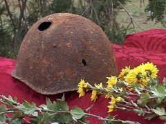 Владивосток исследует оргкомитет «Победа»