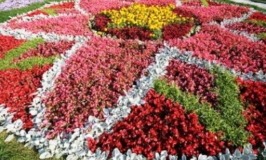 В администрации Находки организовали \"зеленый\" семинар