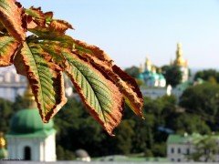 Какой будет погода на выходные?