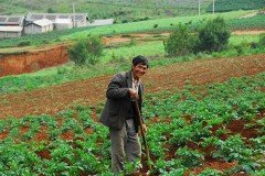 Китайцы захламляют отходами сельскохозяйственные угодья в Приморье