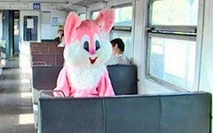 В Приморье выловили почти сто тысяч безбилетных пассажиров