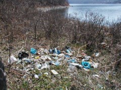 На острове Елены в Приморье пройдет экологическая акция