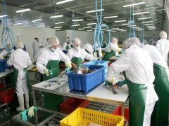 В Приморье принимаются заявки на участие в краевой программе по развитию береговой переработки