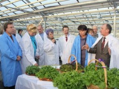 Программа по поддержке сельхозпроизводителей успешно реализуется в Приморье