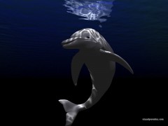 Во Владивостоке покажут «Весь мир в 3D»