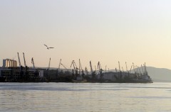 Порт Владивостока развели мошенники из Москвы