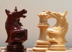 Кубок по молниеносной игре в шахматы разыгран во Владивостоке
