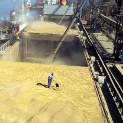 Морской торговый порт Владивостока возобновил работу с экспортным зерном