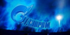 Остров Русский посетили представители крупнейших компаний СНГ