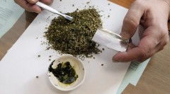 У жителя Приморья изъяли марихуану