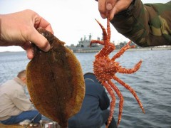 В Хасанском районе исключено из оборота 11 тонн опасной рыбопродукции