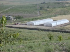 Овощи на загрязнённых химикатами землях выращивали в Приморье