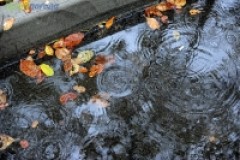 Во Владивостоке в четверг ожидается непродолжительный дождь