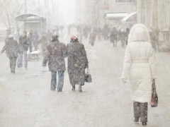 В ближайшие сутки во Владивостоке ожидается сильный снегопад