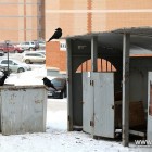 Мониторинг ситуации в микрорайоне Снеговая падь показал,