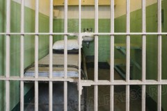 Сотрудники полиции проводят служебную проверку по факту