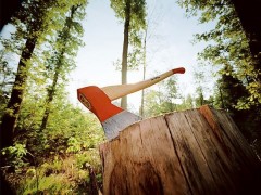 Сотрудники прокуратуры и лесничие обнаружили незаконные