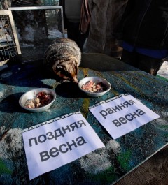 2 февраля — это праздник весны, ведь именно в