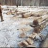 Brigade "black" loggers arrested in Dalnerechensk district of Primorye