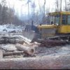 Brigade "black" loggers arrested in Dalnerechensk district of Primorye