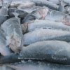 In the capital of Primorye seized a large batch of outstanding