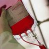 Rescuers give blood for the residents of Primorye