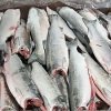 Сотрудники Россельхознадзора обнаружили и изъяли на