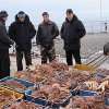 Border guards detained seafood lover in Primorye