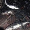 По решению Ханкайского районного суда в колонию —