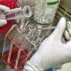 In Primorye, the products again found dangerous bacteria