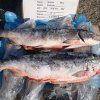 На крупном морозильном складе во Владивостоке сотрудники