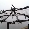 Следователи в Приморском крае возбудили уголовное дело
